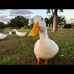 Meet your Posher, Stacey